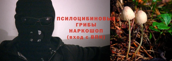 гашик Богданович
