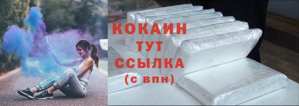 гашик Богданович