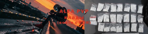 гашик Богданович