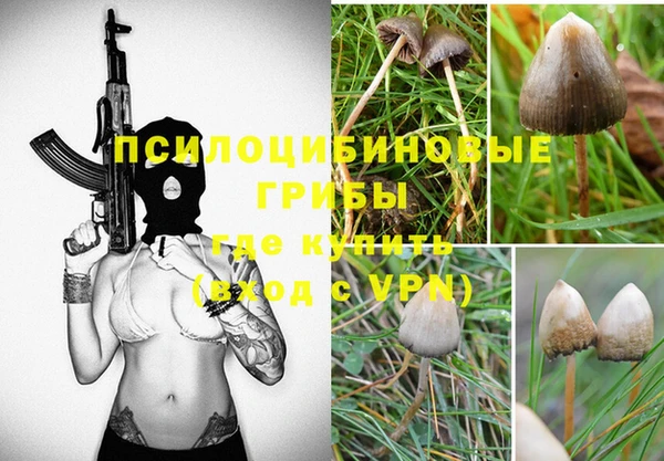 тгк Богородск