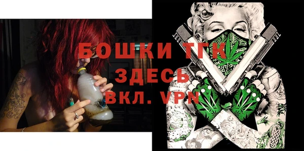 гашик Богданович