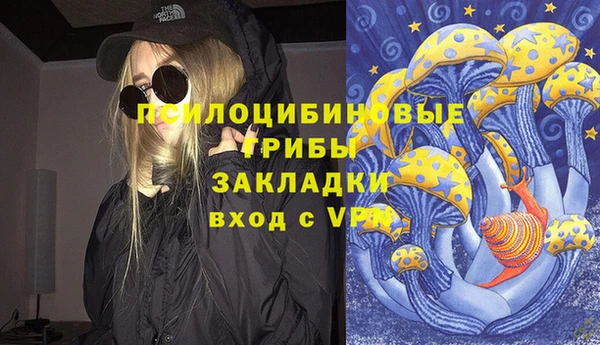 МДМА Богородицк